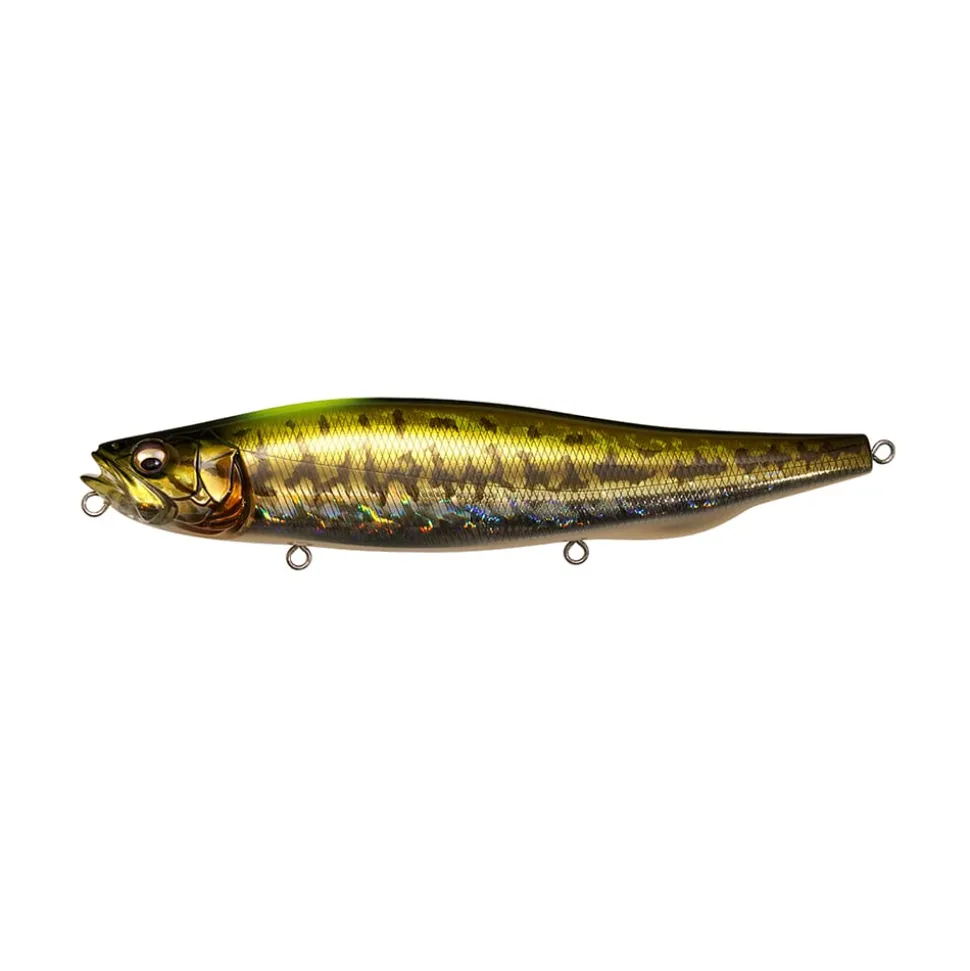 Megabass Megadog-X