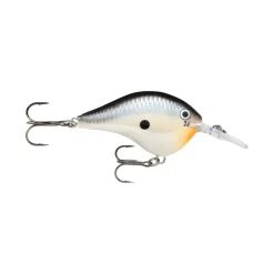 Rapala DT Series Crankbaits
