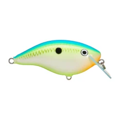 Rapala OG Big Rocco 6 Crankbait