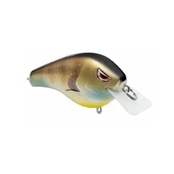 Spro Fat Papa Squarebill Crankbait