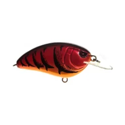 Spro Little John 50 Crankbaits