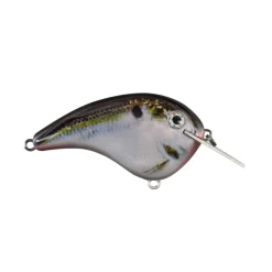 Strike King Chick Magnet Flatside Crankbaits
