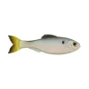 6th Sense Panorama Baitfish