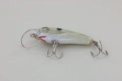 WE Baits #3 Grey Back